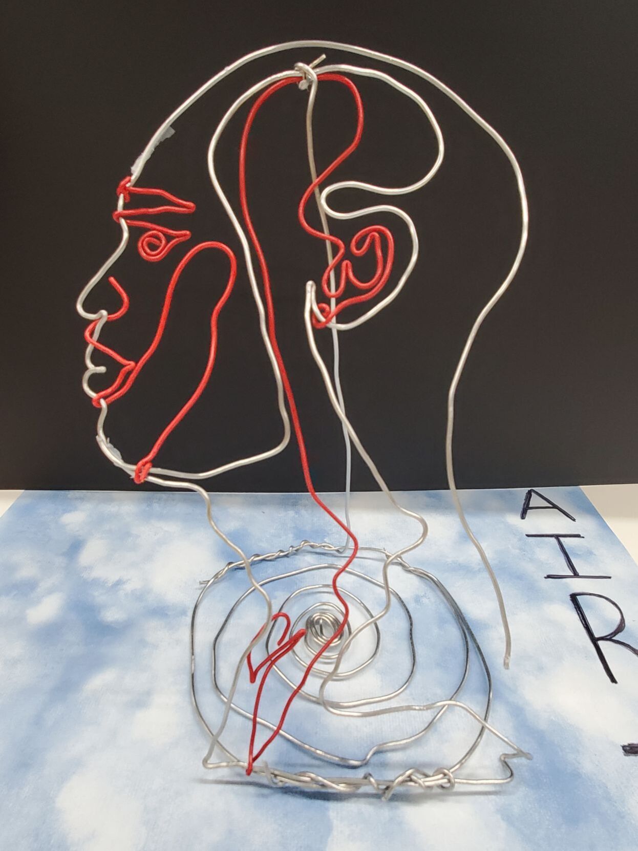 Wire portraits in Bradford